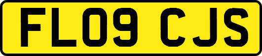 FL09CJS