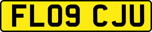 FL09CJU
