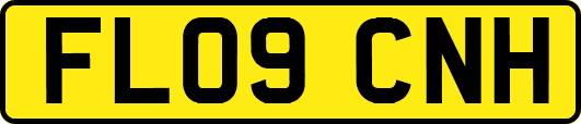 FL09CNH