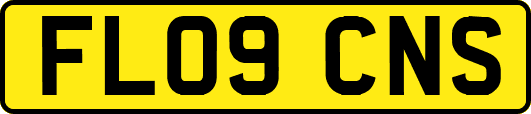 FL09CNS