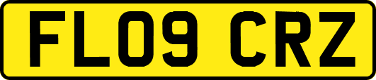 FL09CRZ