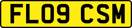 FL09CSM