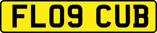 FL09CUB