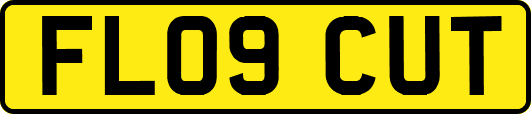 FL09CUT