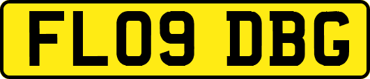 FL09DBG