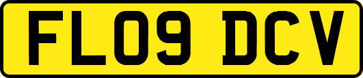 FL09DCV