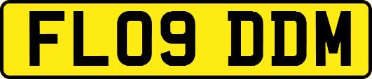 FL09DDM