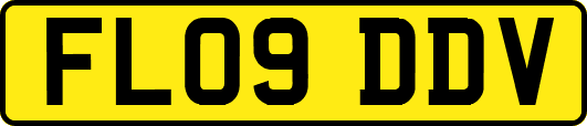FL09DDV