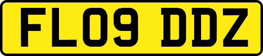 FL09DDZ
