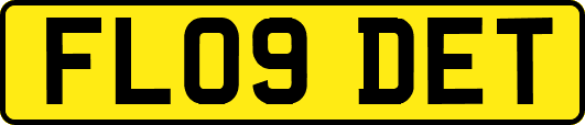 FL09DET