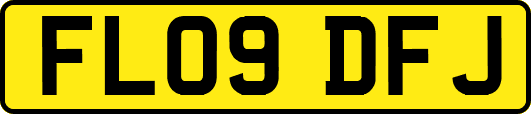 FL09DFJ