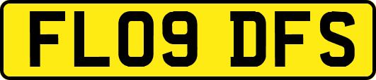 FL09DFS