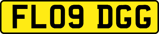 FL09DGG