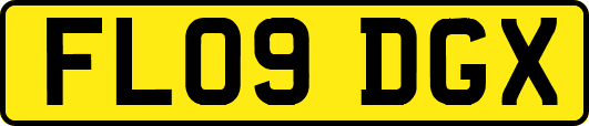 FL09DGX