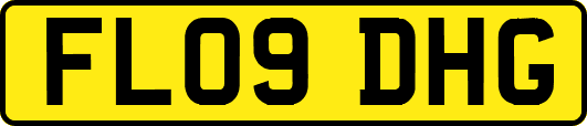 FL09DHG