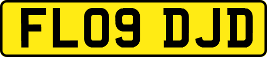 FL09DJD