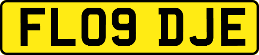 FL09DJE
