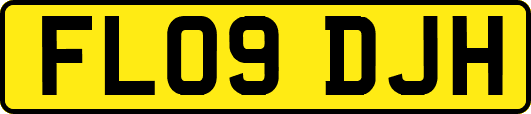 FL09DJH