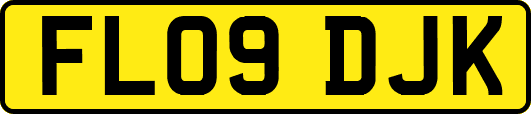 FL09DJK