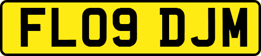 FL09DJM