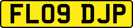 FL09DJP