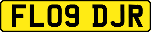 FL09DJR