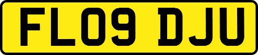 FL09DJU