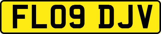 FL09DJV
