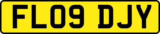 FL09DJY