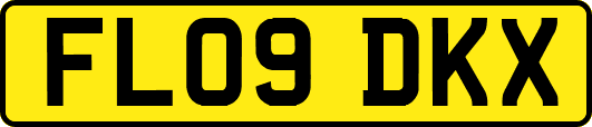 FL09DKX