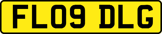 FL09DLG
