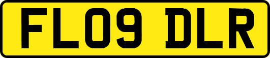 FL09DLR
