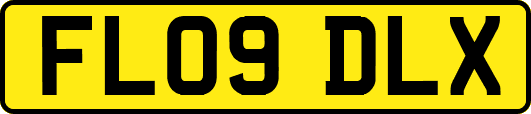 FL09DLX