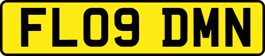 FL09DMN
