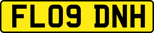 FL09DNH