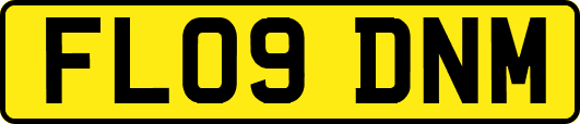 FL09DNM