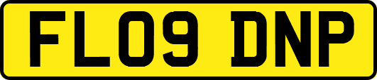 FL09DNP