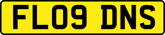 FL09DNS