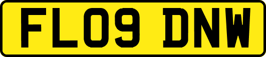 FL09DNW