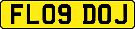 FL09DOJ