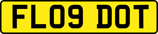 FL09DOT