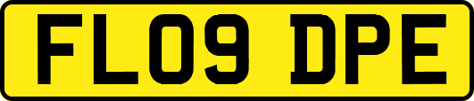 FL09DPE