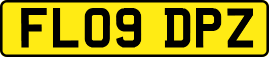 FL09DPZ