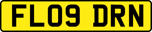 FL09DRN