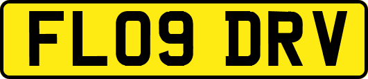 FL09DRV