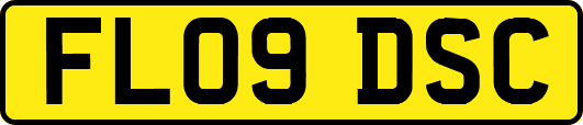 FL09DSC