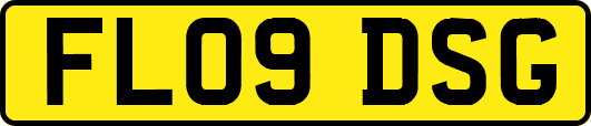 FL09DSG