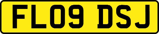 FL09DSJ