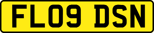 FL09DSN