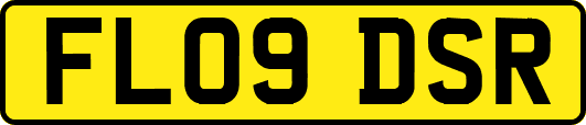 FL09DSR